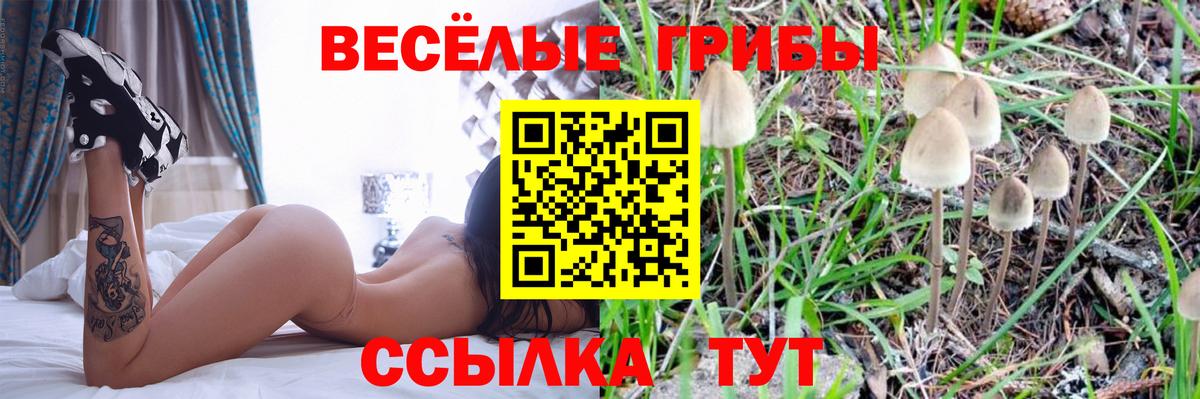 Галлюциногенные грибы мухоморы Кольчугино