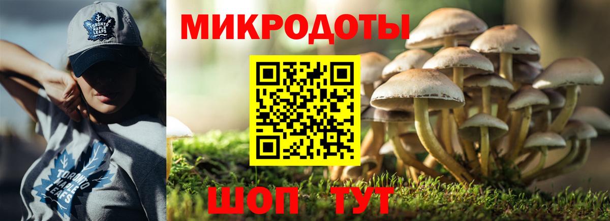 Кольчугино  Галлюциногенные грибы GOLDEN TEACHER  Вход с VPN  купить наркотики сайты  Галлюциногенные грибы мухоморы 
